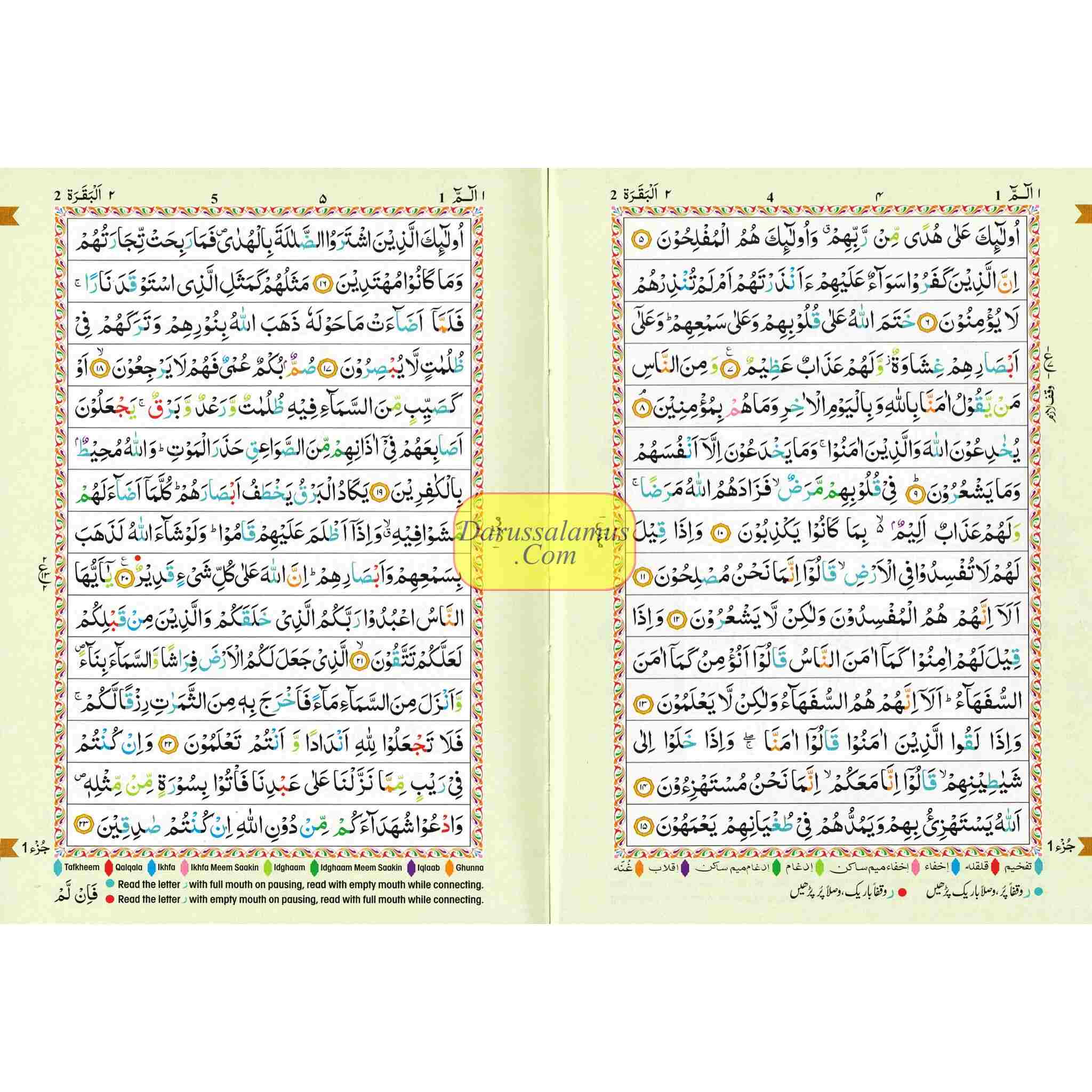 The Holy Quran Colour Coded Tajweed Rules in English and Urdu (Ref 123-CC) 15 Lines Quran (Medium)、mySite、topwebapps