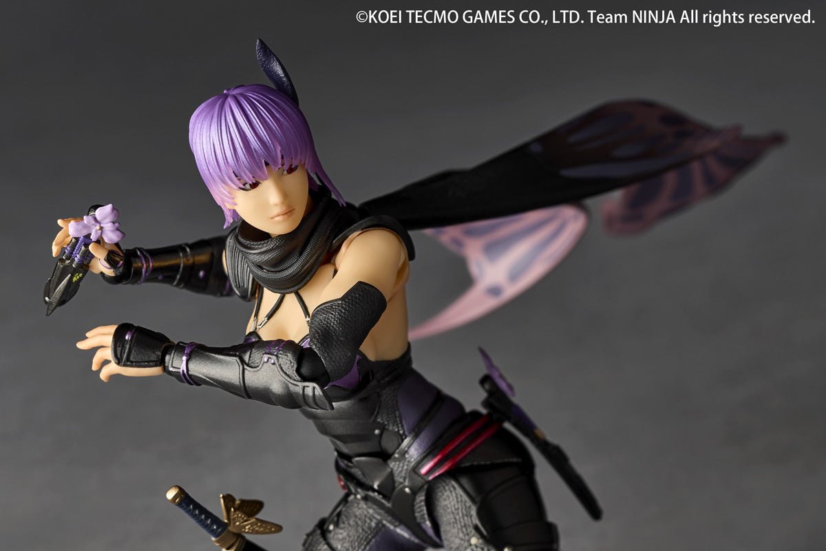 Amazing Yamaguchi Revoltech NR067 Ninja Gaiden 3: Razor's Edge Ayane、mySite、hgirdovlk