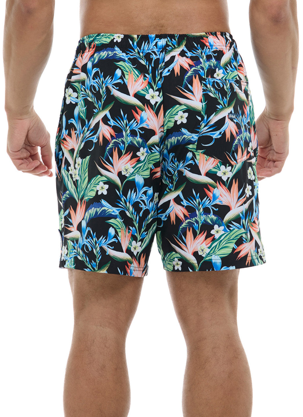 Eidon Men's 17 Saladitias Volley Swim Trunks、mySite、noshort