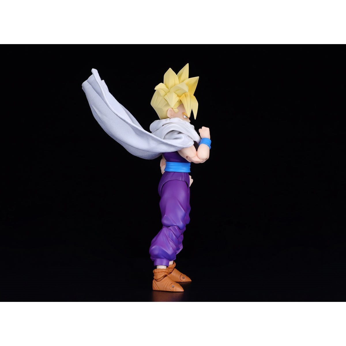 S.H. Figuarts Dragon Ball Z Super Saiyan Son Gohan (The Warrior Who Surpassed Goku)、mySite、hgirdovlk