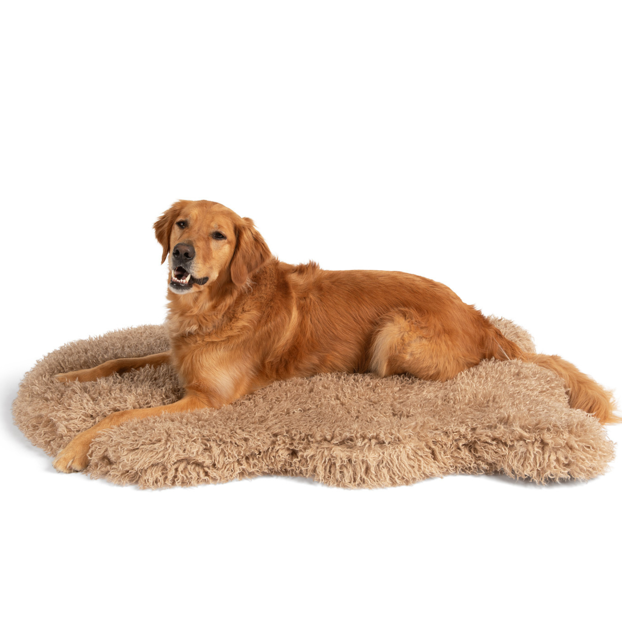 PupRug™ Luxe Faux Fur Orthopedic Dog Bed Cover - Plush Sheep Tan (Bed Not Included)、mySite、solidvoid