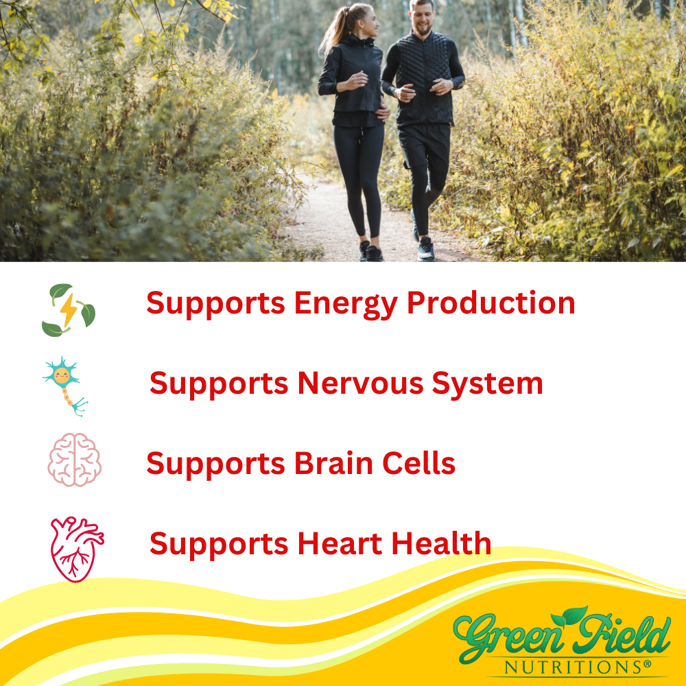 Greenfield Nutritions - Halal Vitamin B12 1000 mcg Vitamin, 60 Sublingual Tablets, Fast Absorption、mySite、topwebapps