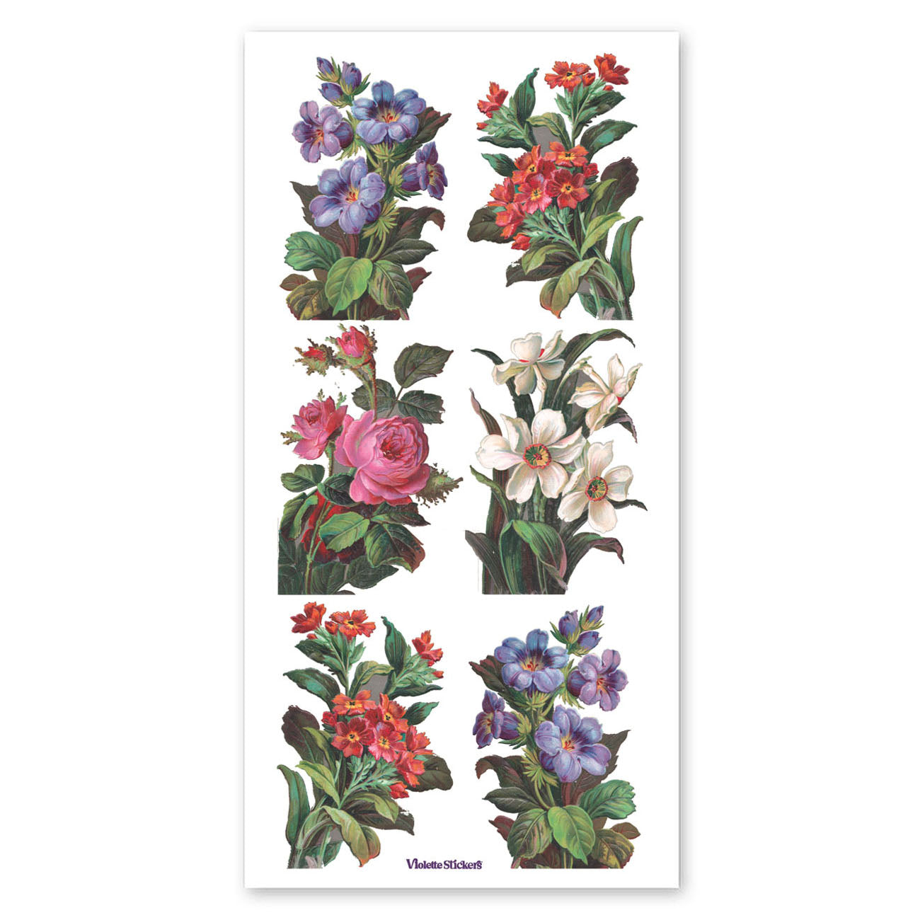  Kathryn Stickers、mySite、ghnorth