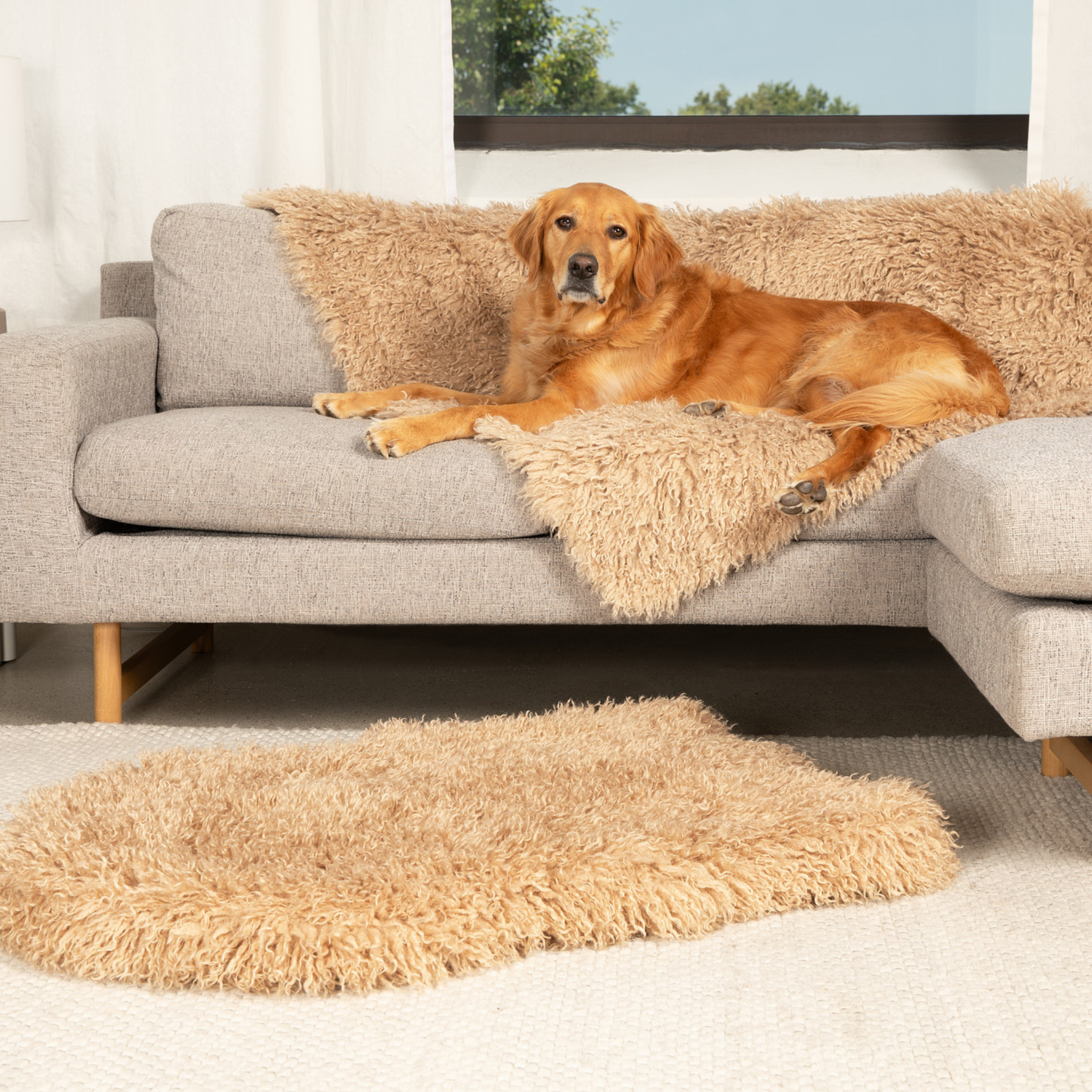 PupRug™ Luxe Orthopedic Bed + Matching Waterproof Blanket Bundle - Plush Sheep Tan、mySite、solidvoid