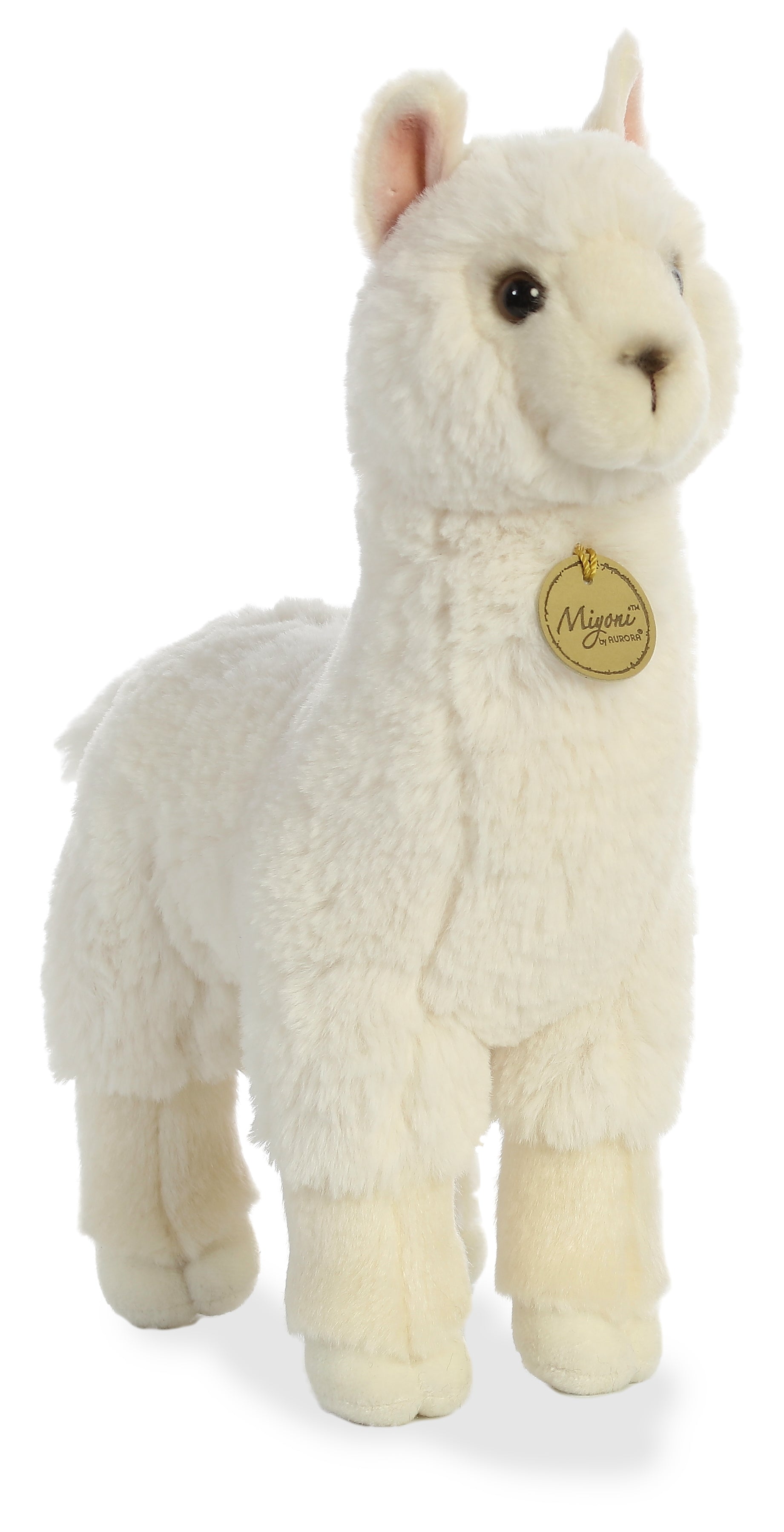 Aurora® - Miyoni® - 11 Alpaca、mySite、g9winljtr