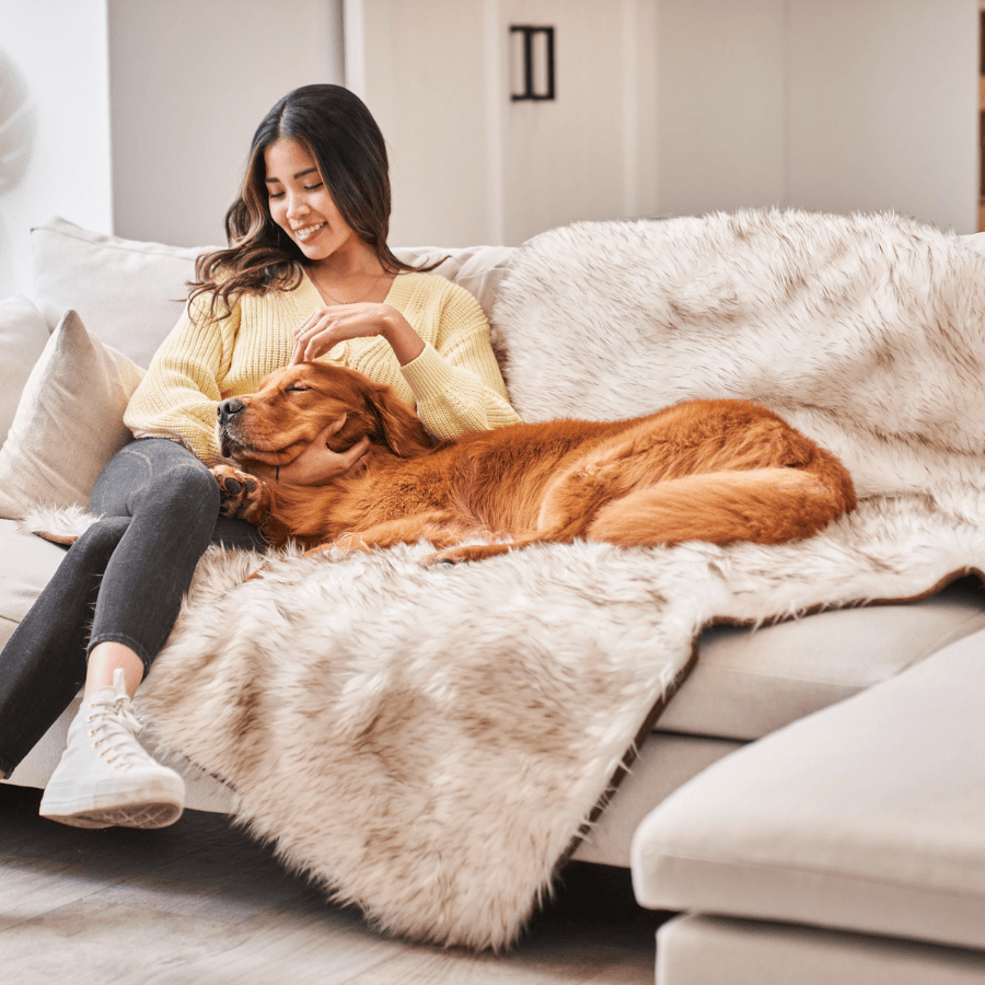 Paw.com x BarkBox PupProtector™ Waterproof Throw Blanket - White with Brown Accents、mySite、solidvoid