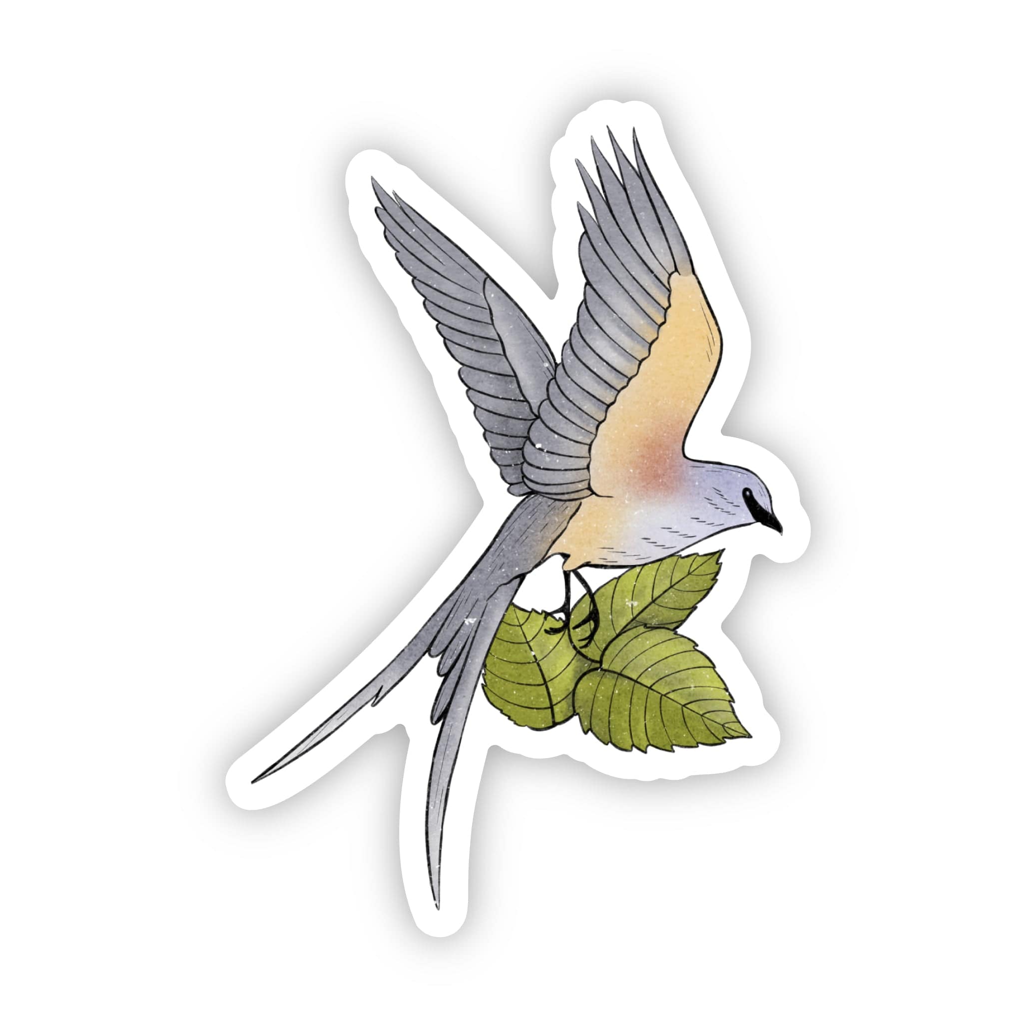  Oklahoma State Bird Sticker、mySite、ghnorth