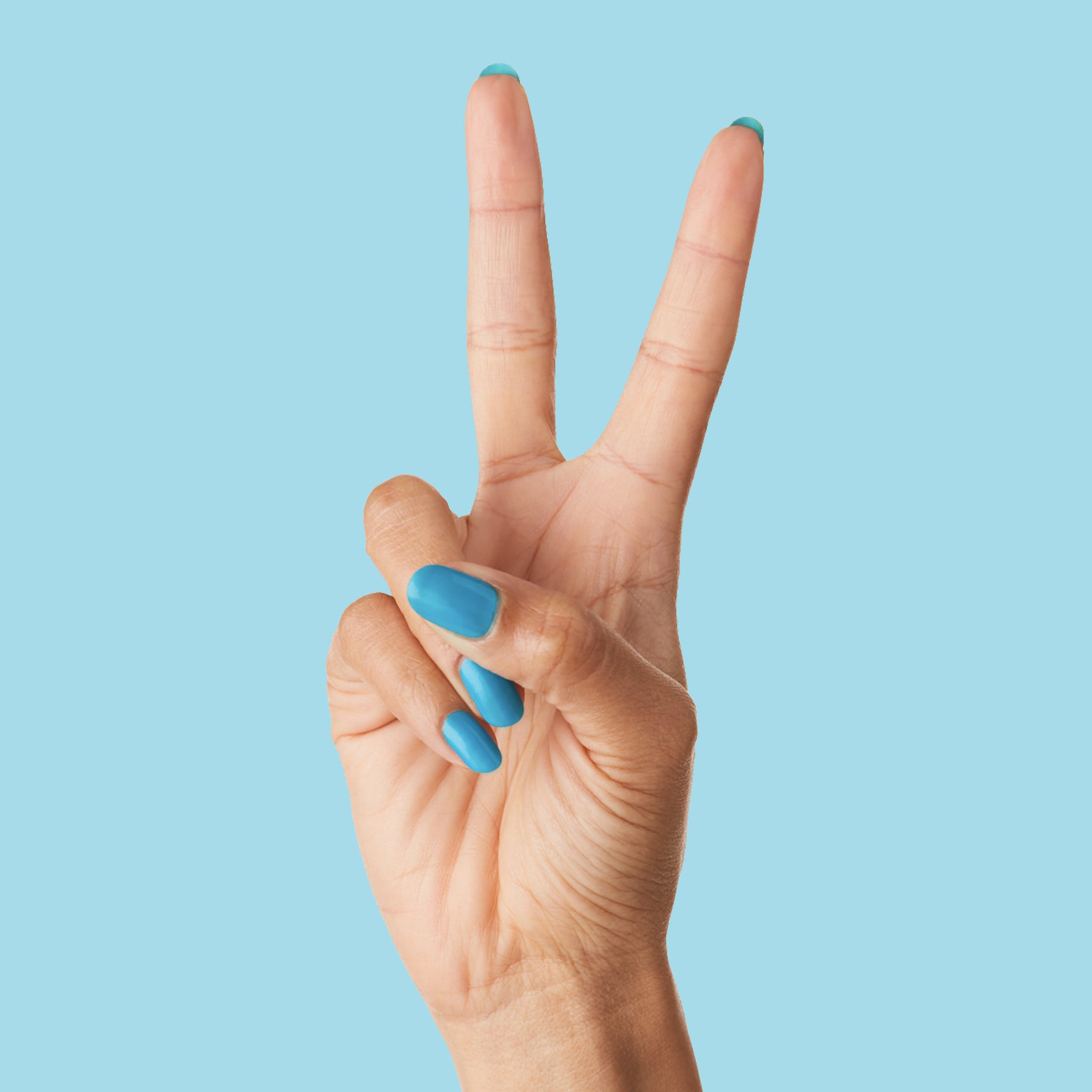 Blueberry Smash、mySite、solidvoid