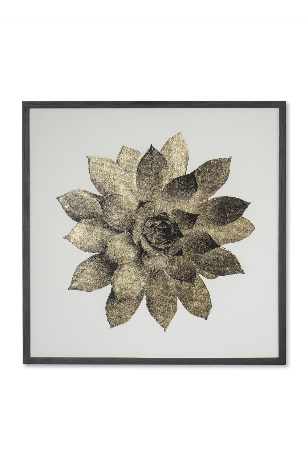 Contemporary Nature Wall Art | Andrew Martin Gold Succulent、mySite、neckold