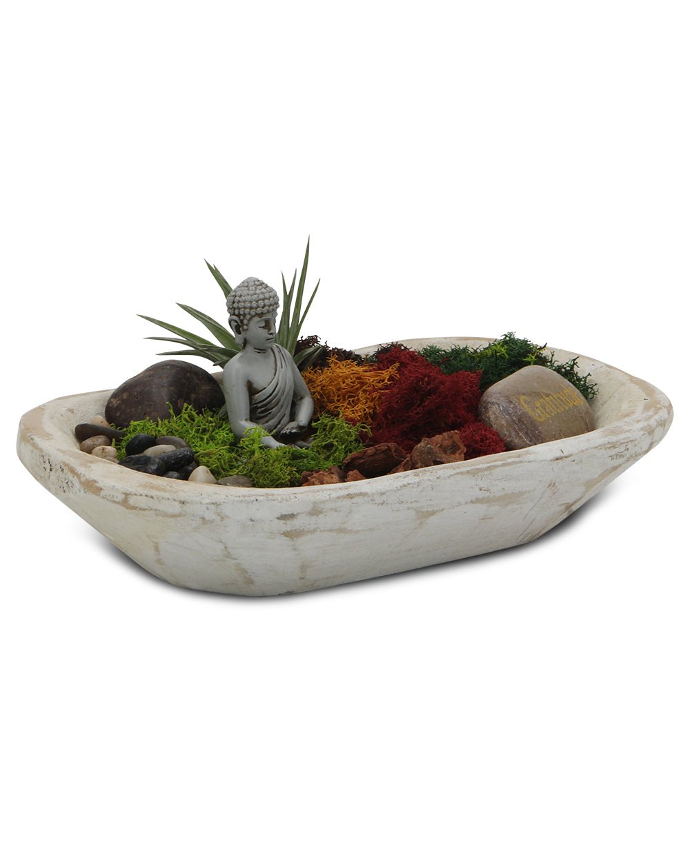 Five Color Moss Gratitude Buddha Terrarium、mySite、topwebapps