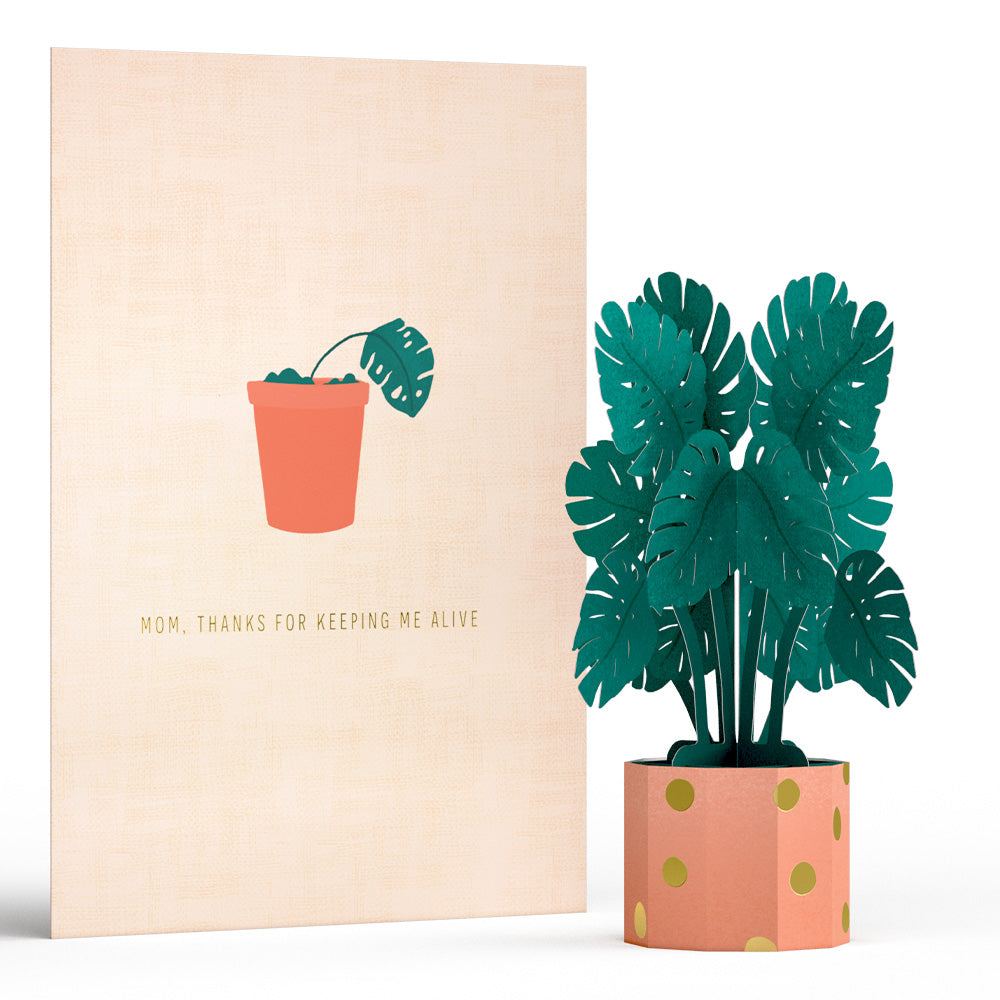 Thanks for Keeping Me Alive Mother’s Day Card with Mini Bouquet、mySite、solidvoid