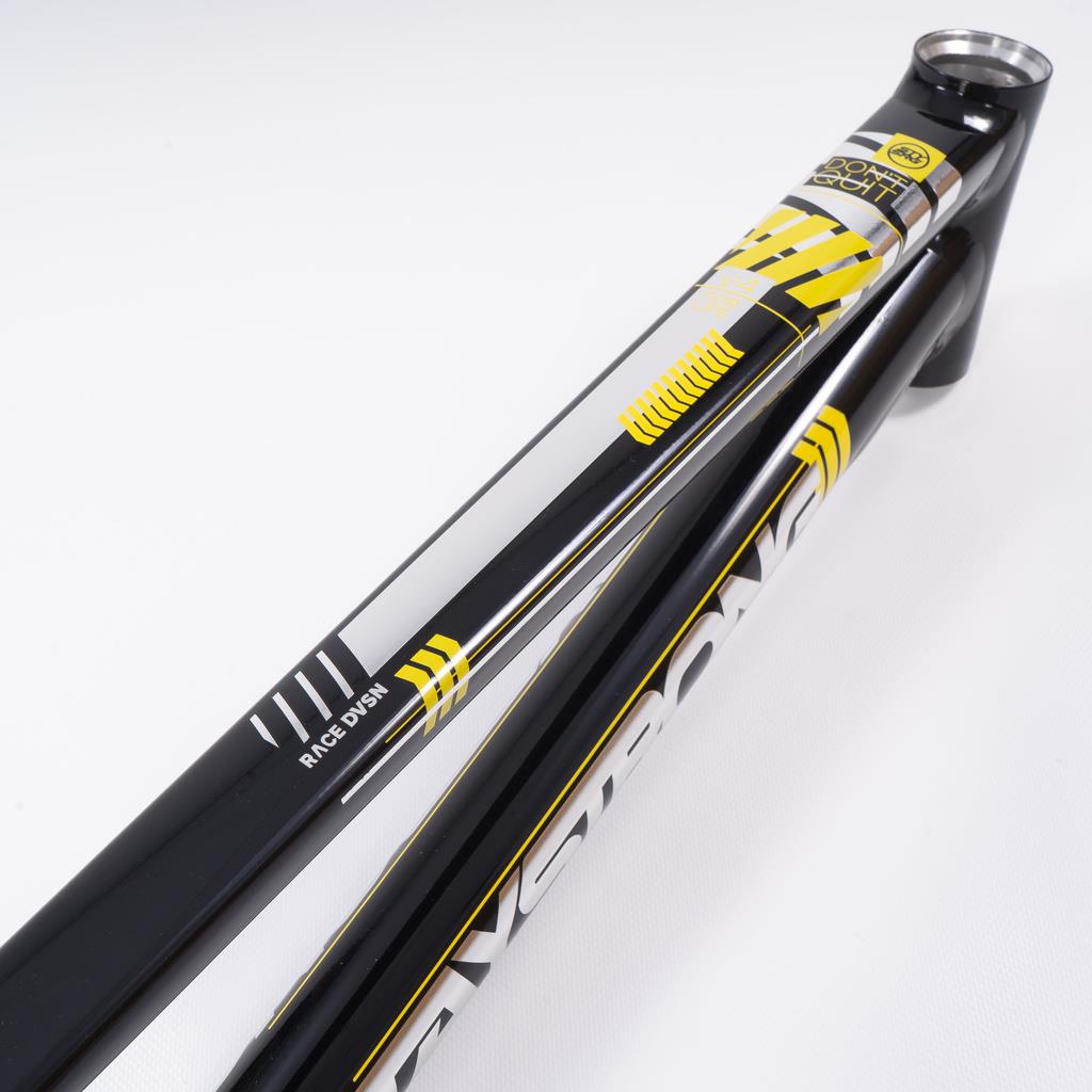  Stay Strong For Life 2023 V4 Mini Race Frame、mySite、merchandisen