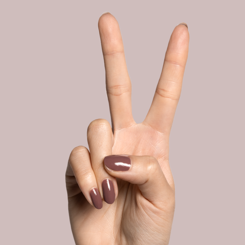 Shacket - Part of Set、mySite、solidvoid