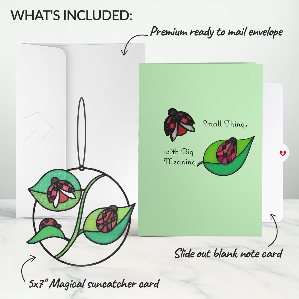 Small Things with Big Meaning Ladybug Suncatcher Card、mySite、solidvoid