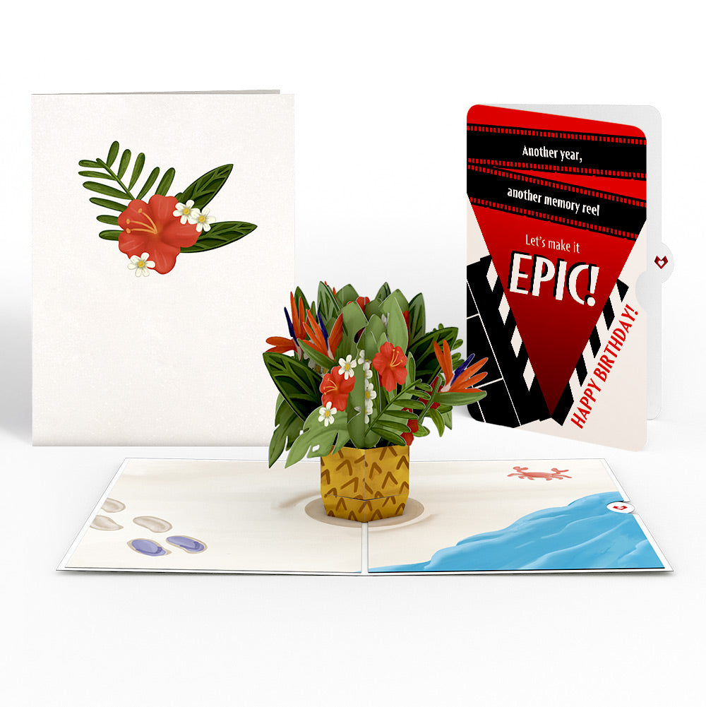 Tropical Flower Basket Birthday Pop-Up Card and Epic Reel Sentiment Set、mySite、solidvoid