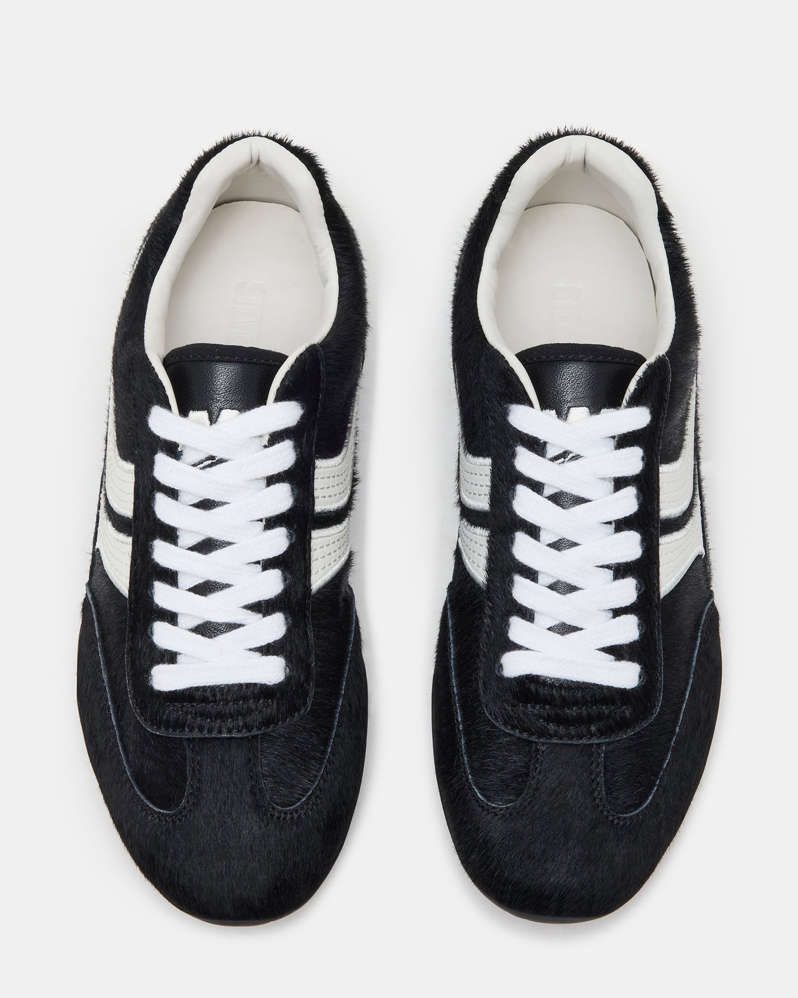 DOBSON BLACK MULTI、mySite、gtrtttuynbv