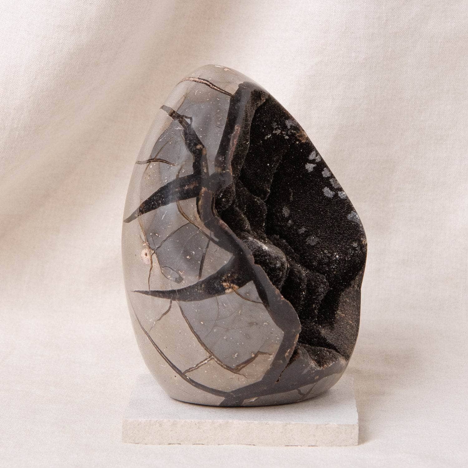 Rare Black Septarian Freeform Crystal、mySite、hinf8tx79