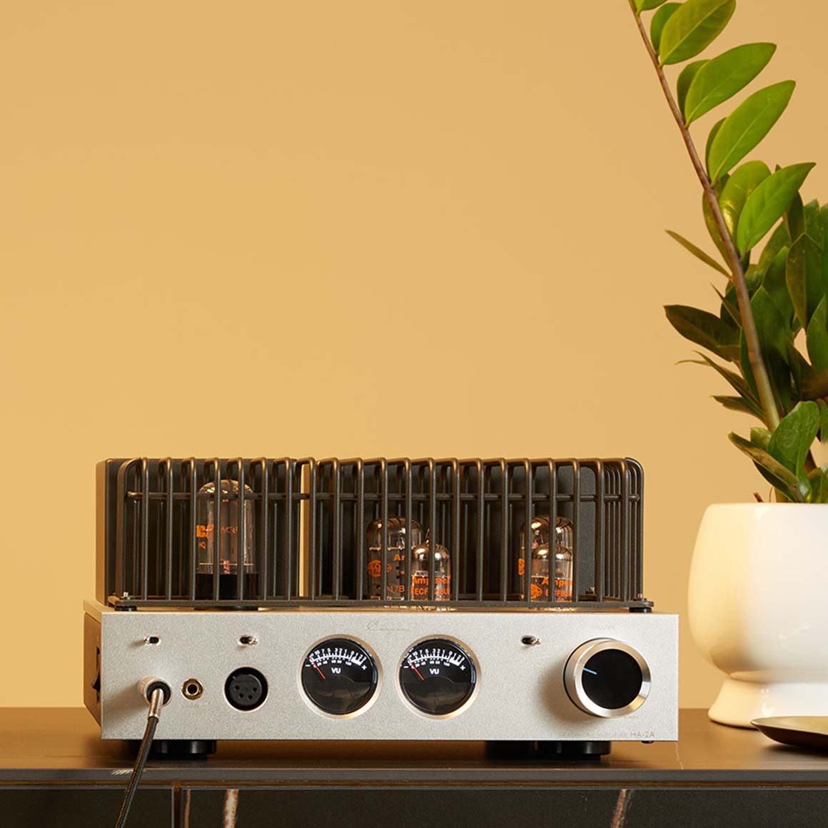  Cayin - HA-2A、mySite、merchandisen