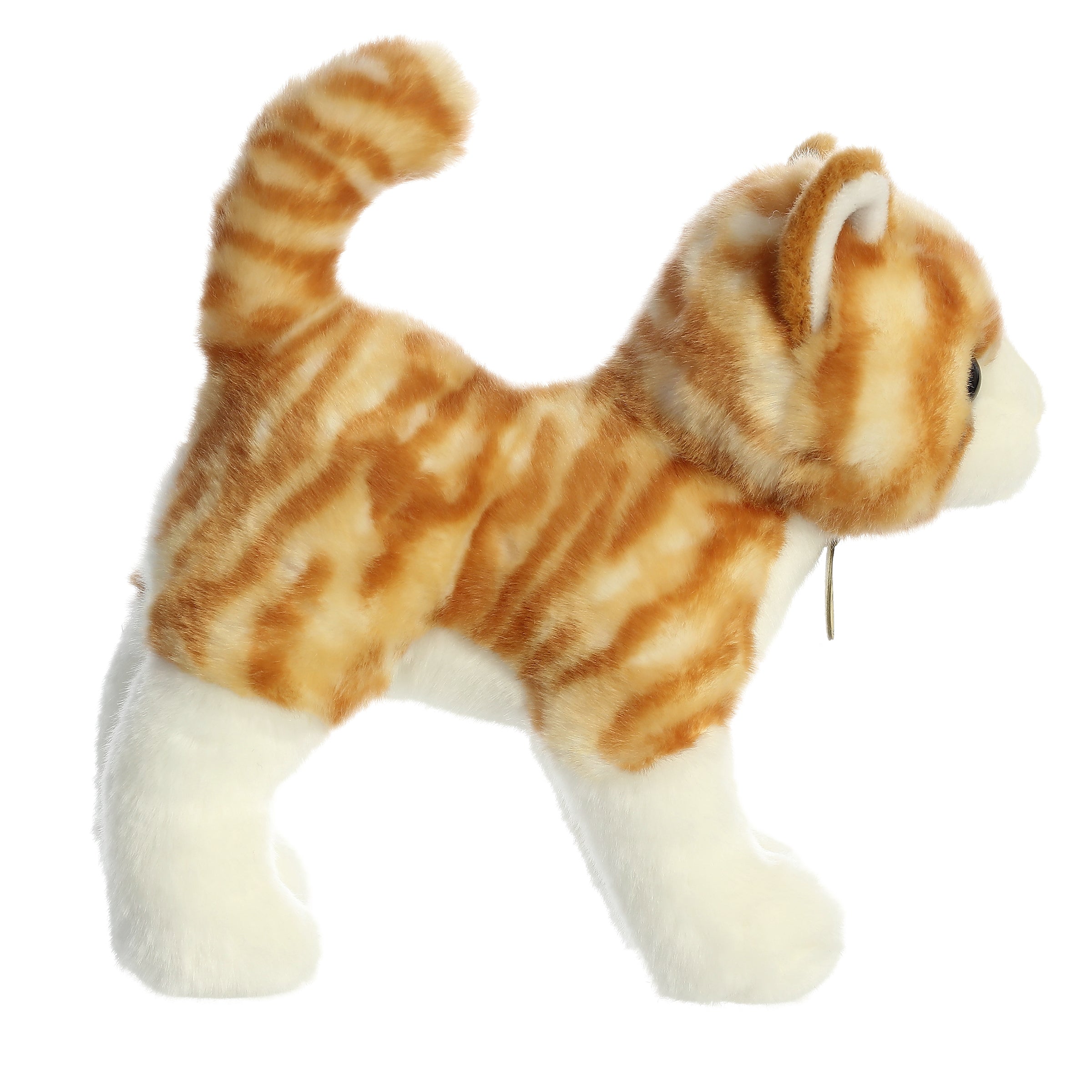Aurora® - Miyoni® - 10 Orange Tabby Cat、mySite、g9winljtr