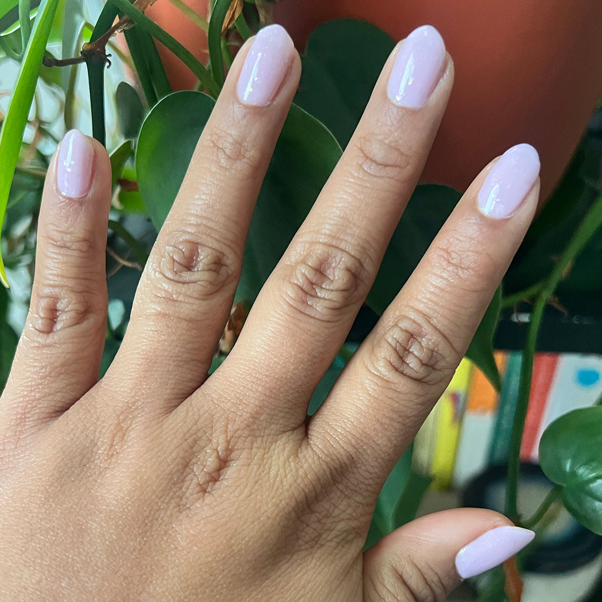 Glitter Cowgirl、mySite、solidvoid