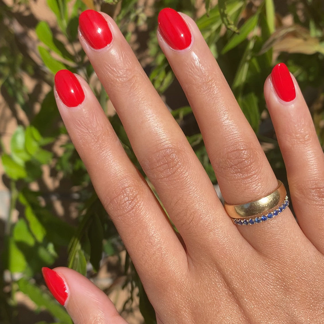 Lollipop、mySite、solidvoid