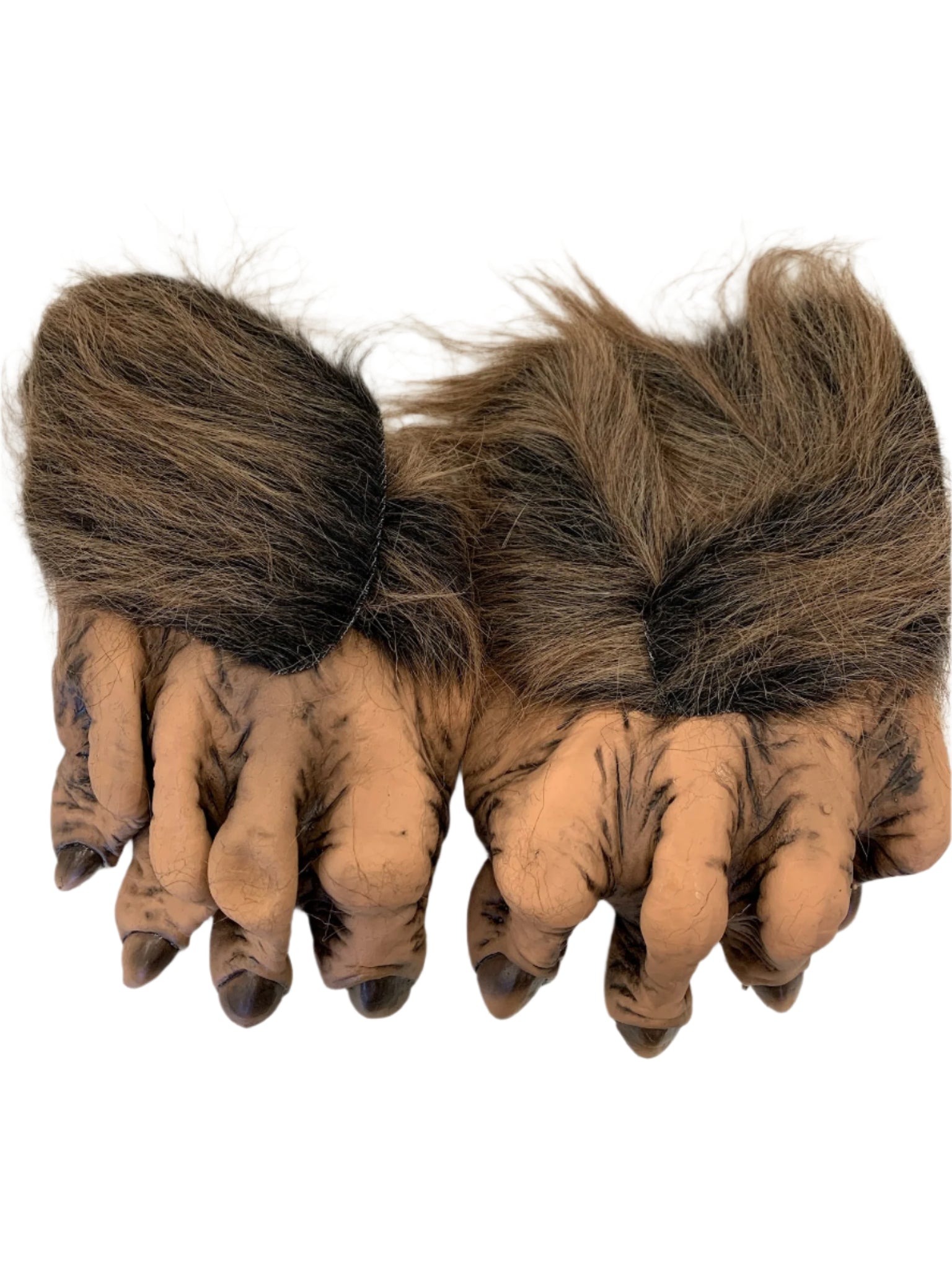 Werewolf Feet、mySite、bengalsvssteelers