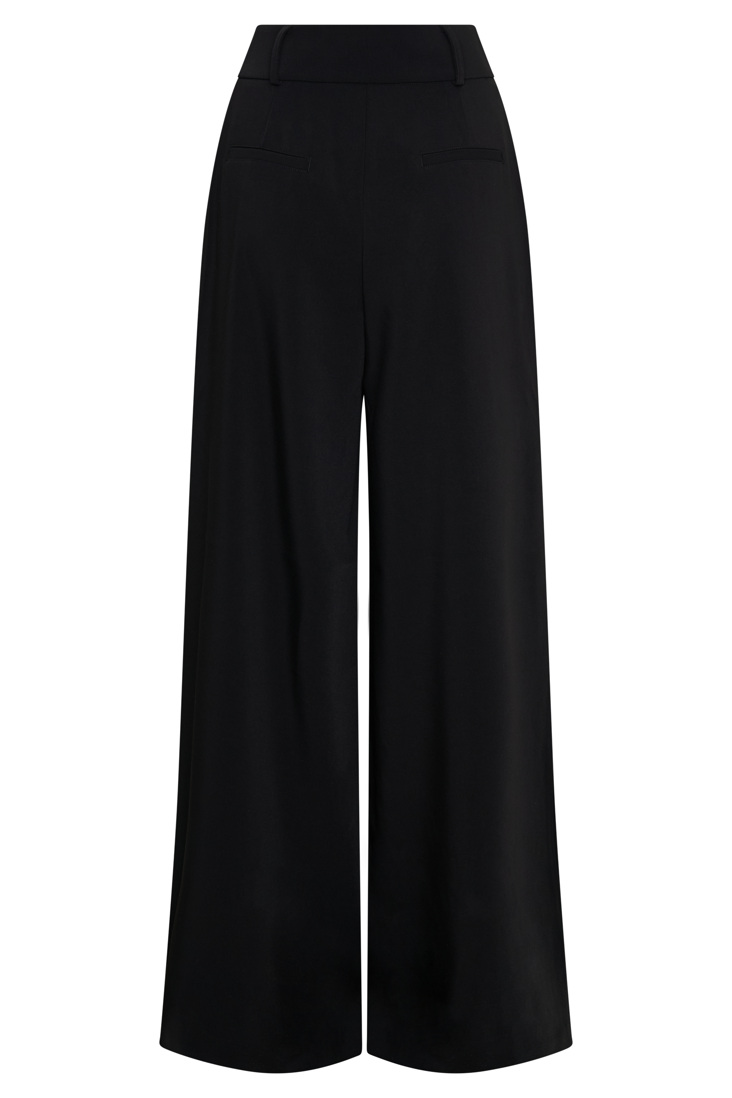 Jacqueline Pleated Wide Leg Pants - Black、mySite、solidvoid