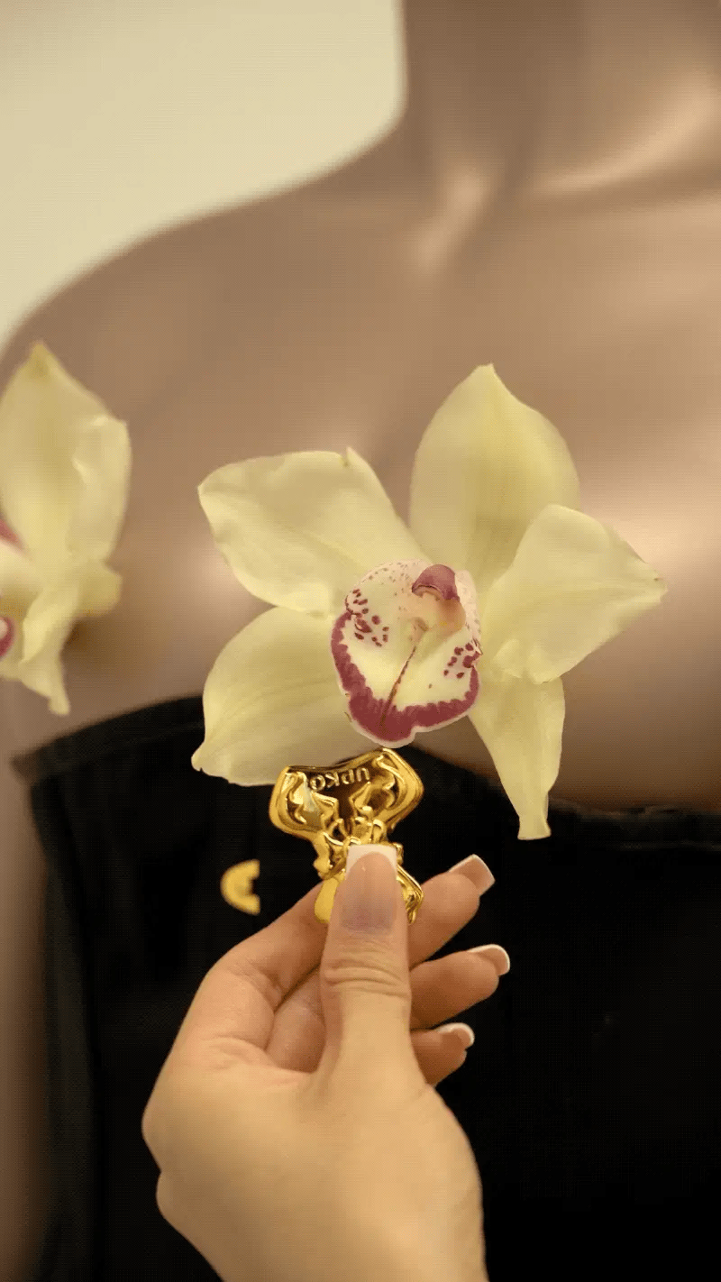  Bowknot Binder Clip Style Nipple Clamps、mySite、justintrudeaud