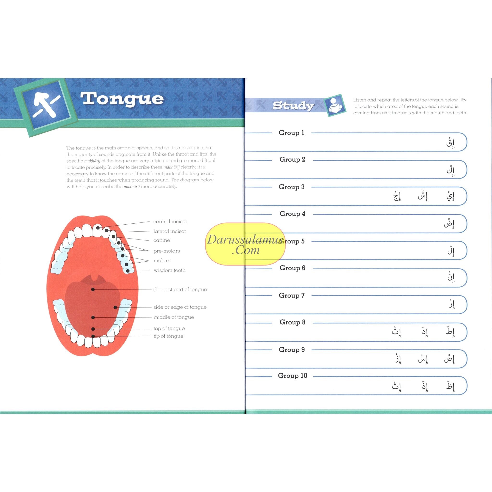 Tajweed Untangled By Learning Roots、mySite、topwebapps