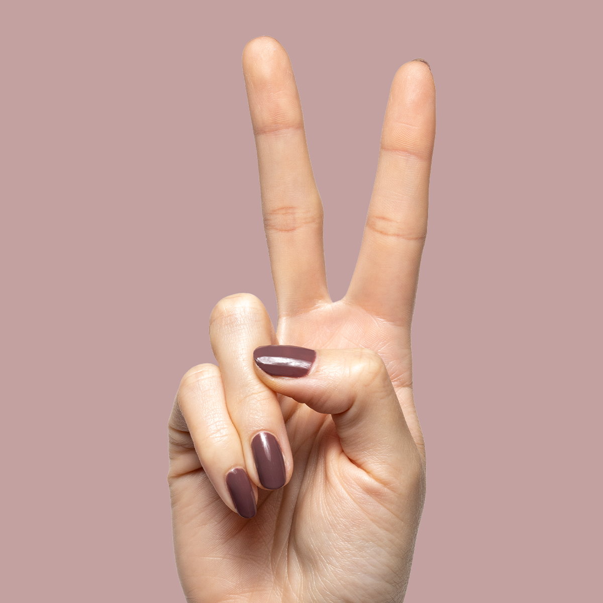 Patron of the Arts、mySite、solidvoid