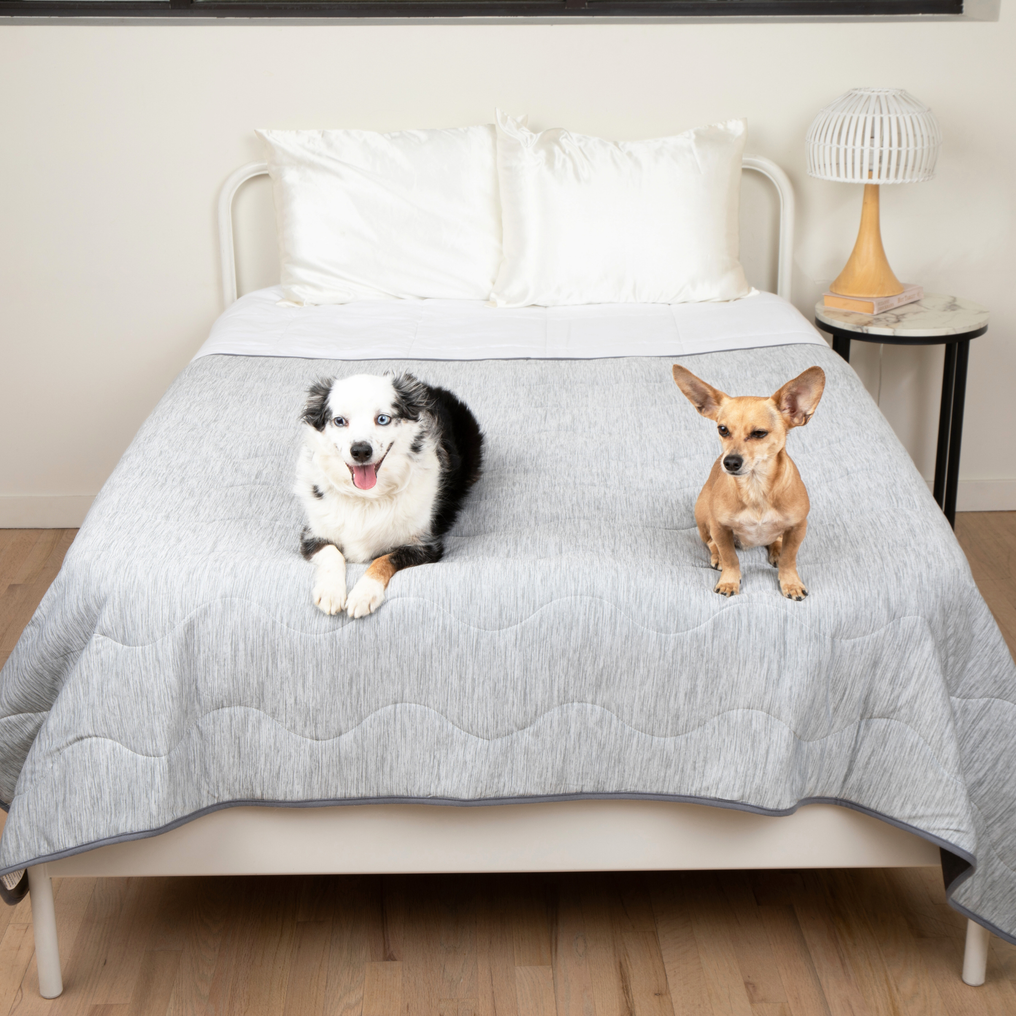 PupChill™ Cooling Waterproof Blanket - Arctic Grey、mySite、solidvoid