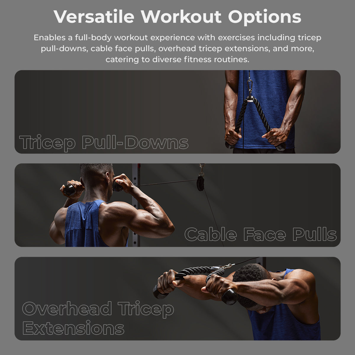  Tricep Rope Cable Attachment、mySite、ghnorth