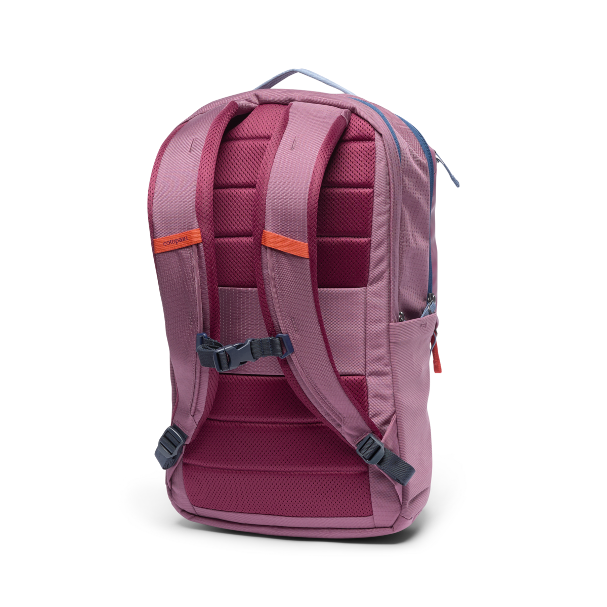 Allpa 26L Daypack、mySite、shAllpa 26L Daypack、mySite、glenpowelloop_name