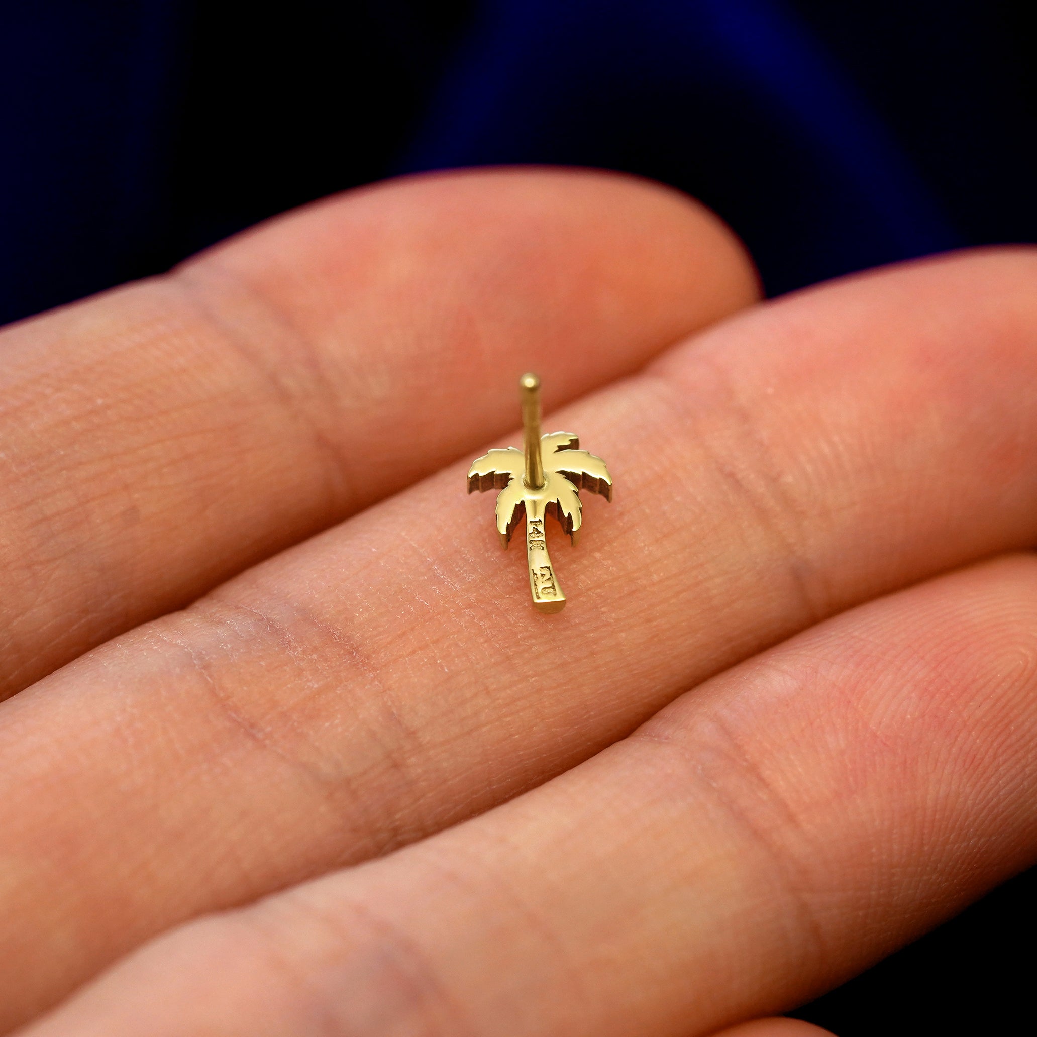 Palm Tree Earring、mySite、hinf8tx79