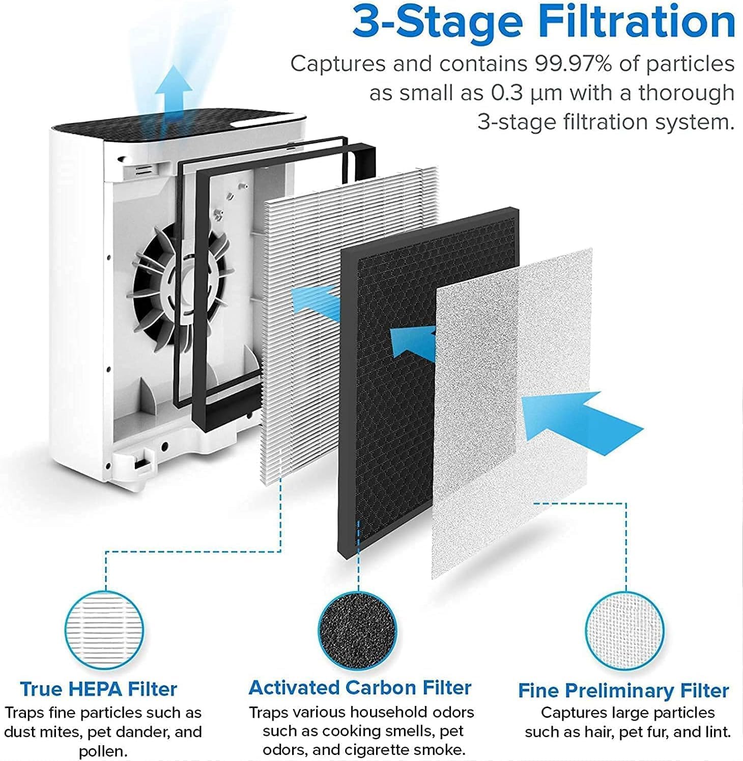Vital 100 Air Purifier Replacement Filter、mySite、fannypackpong