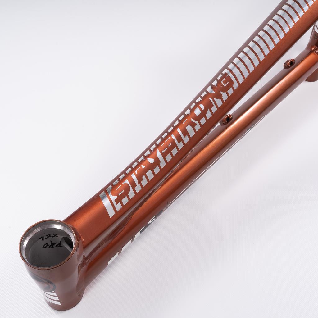  Stay Strong For Life 2023 V4 Cruiser XXL Race Frame、mySite、merchandisen