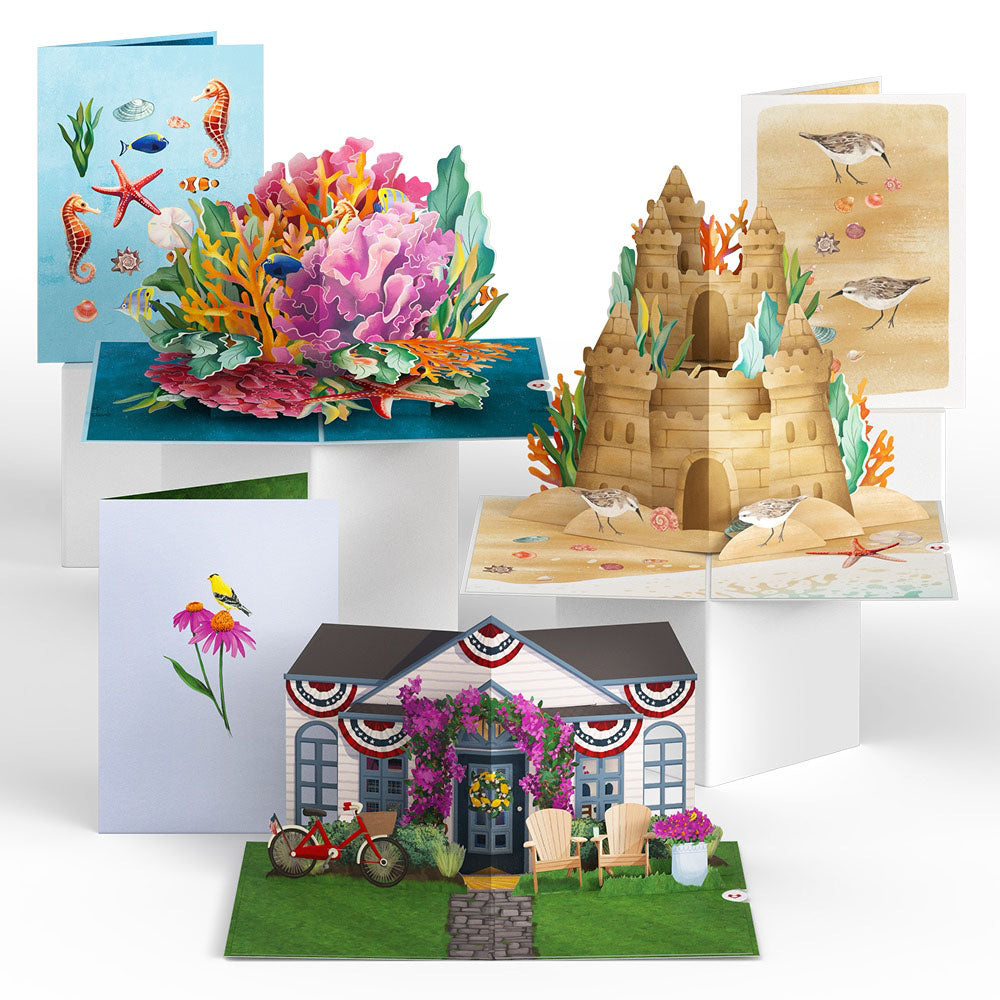 Sunny Summer 3-Pack、mySite、solidvoid