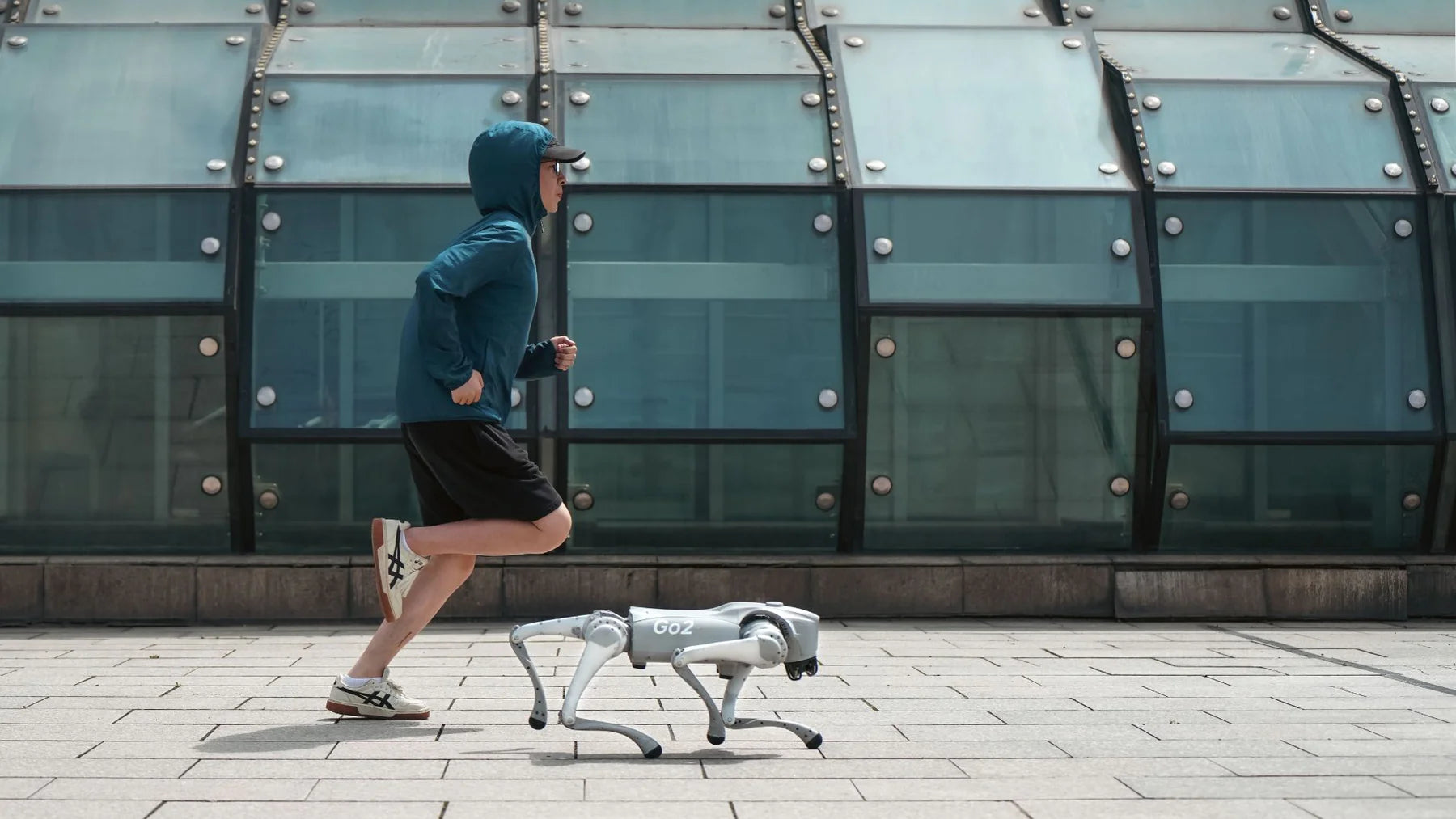 Unitree Go2 EDU AI Quadruped Robot Dog、mySite、lovesweatpilates