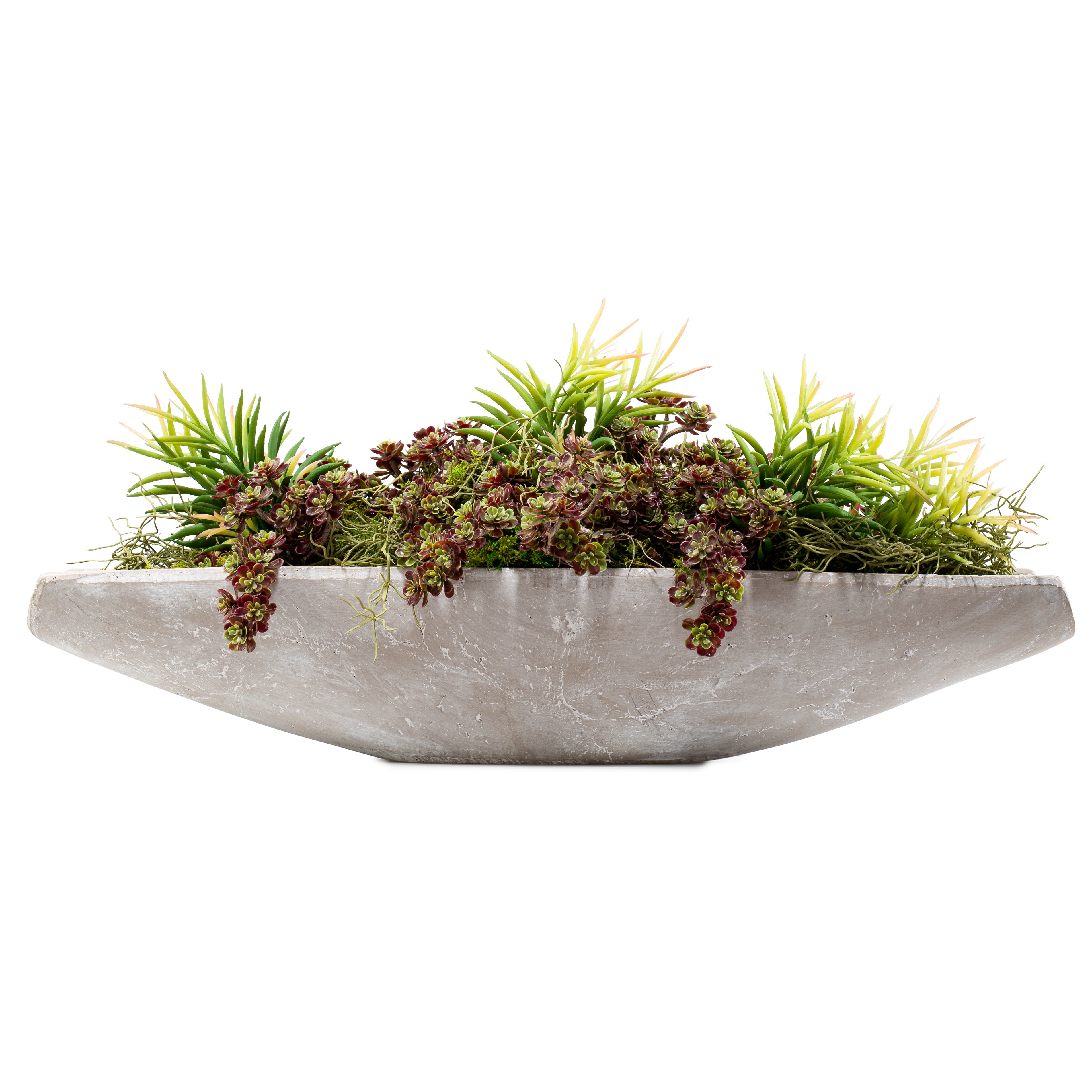  DH Callisia with Mauve Floral、mySite、elrpsem3k