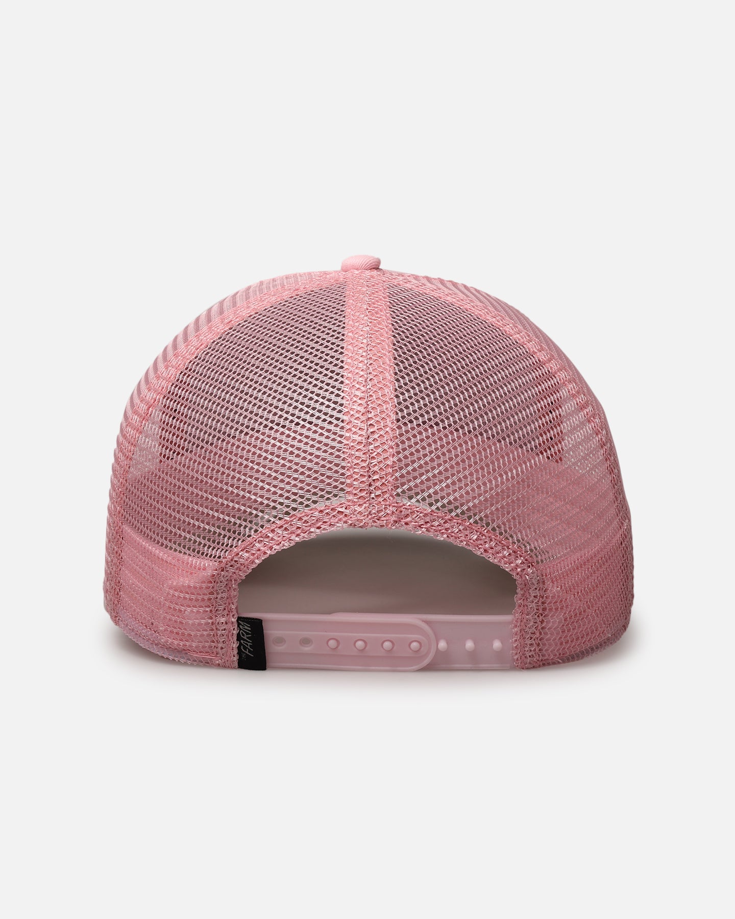 Goorin Bros The Queen Lioness Snapback Pink、mySite、zt4zffjzw