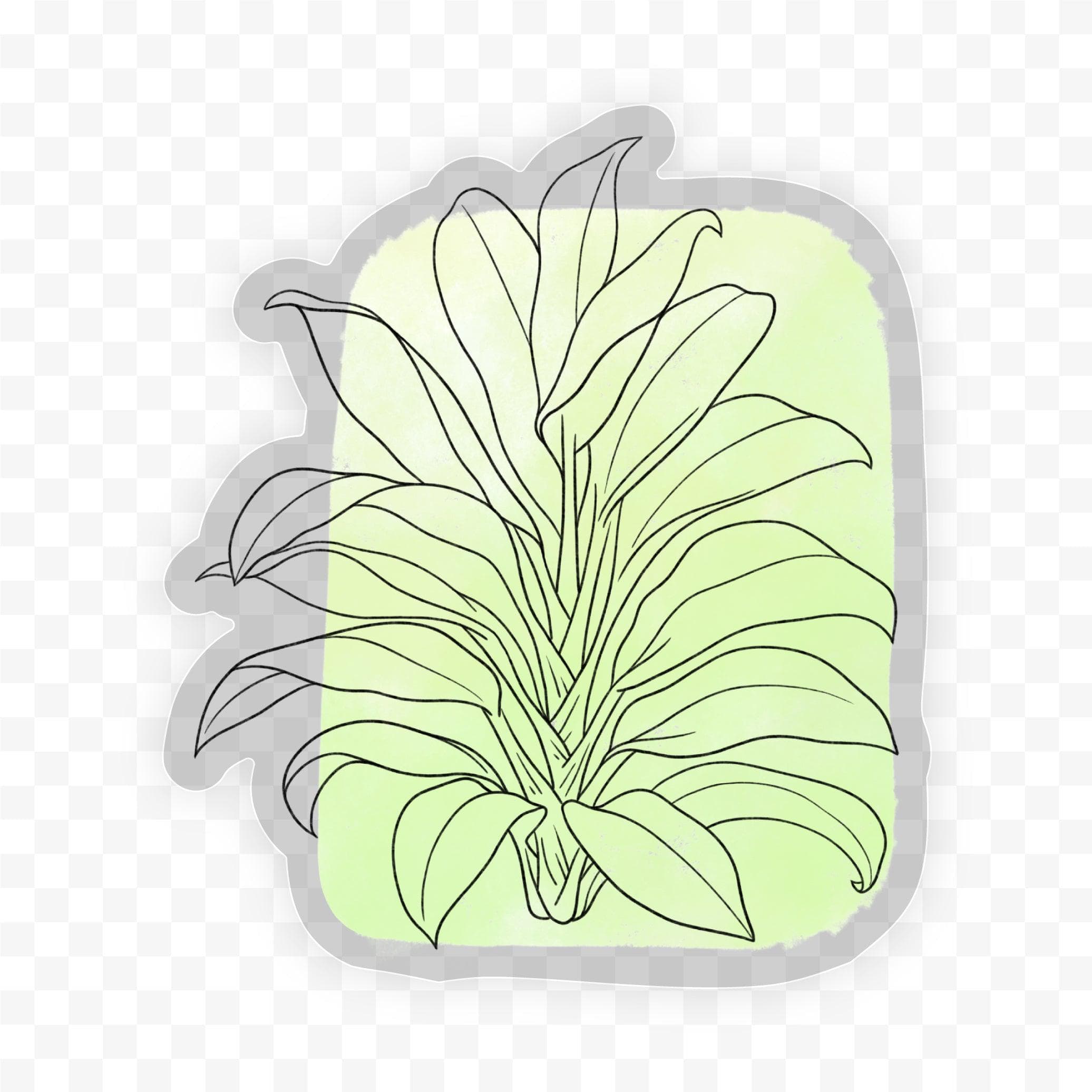  Cordyline Fruticosa Abstract - Clear Sticker、mySite、elrpsem3k