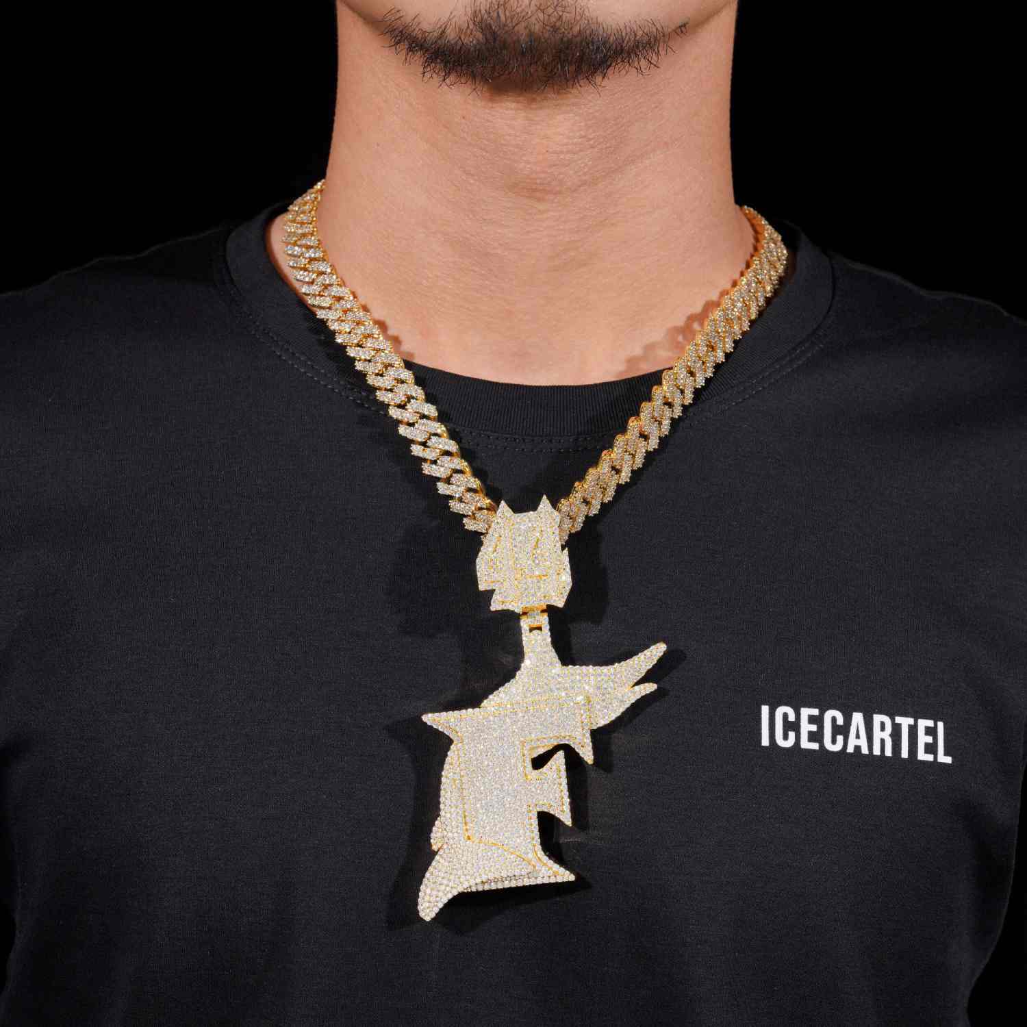 F Custom Moissanite Pendant 14K Gold、mySite、hinf8tx79