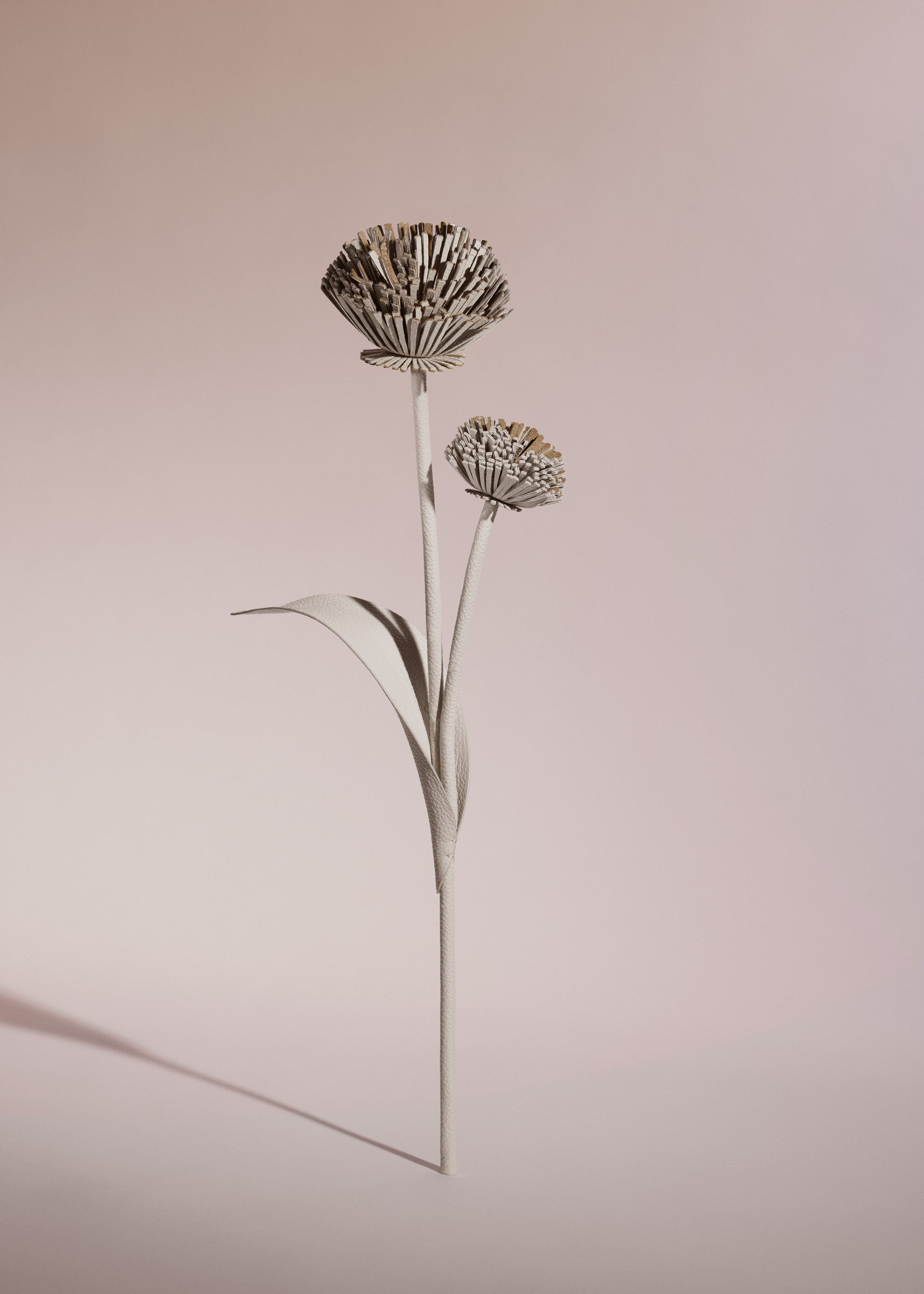 Fleur Tul - Duo Craie Grain茅、mySite、camillekostekn