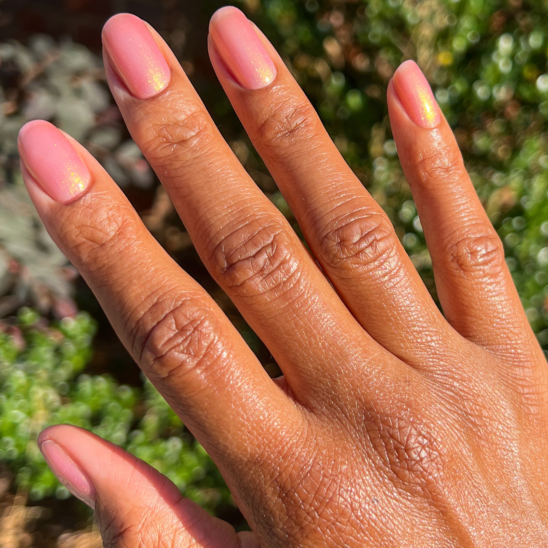 Internal - Baby Starfish、mySite、solidvoid