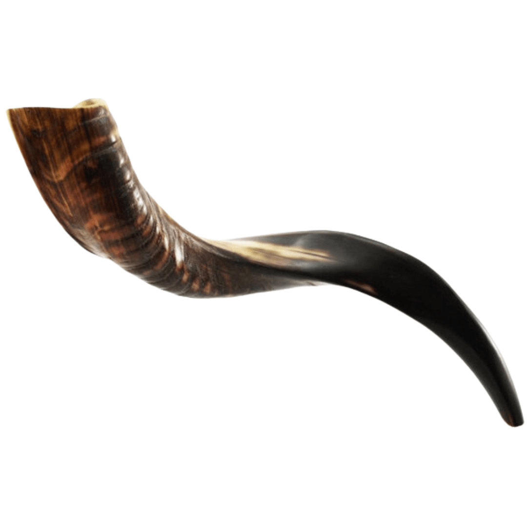  Shofar Mini Yemenite、mySite、elrpsem3k