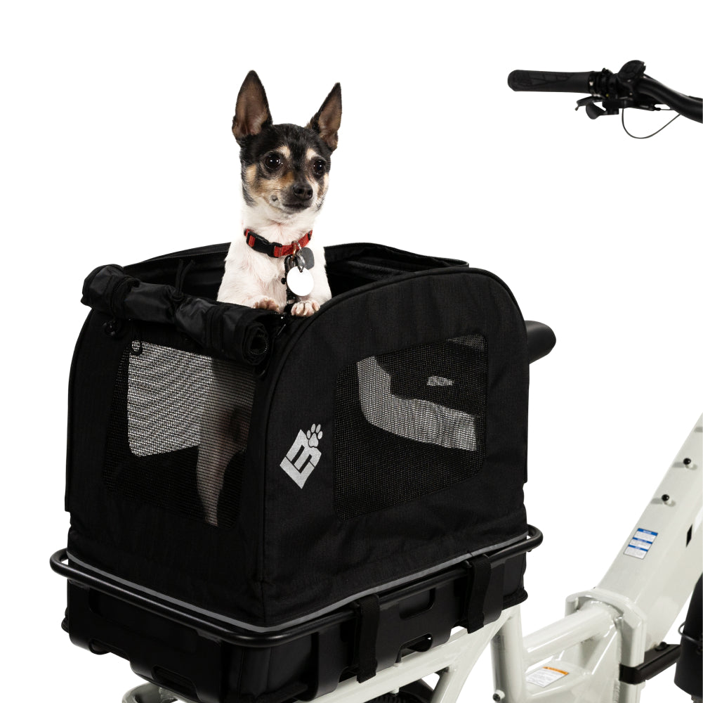  Small Pet Carrier、mySite、ghnorth