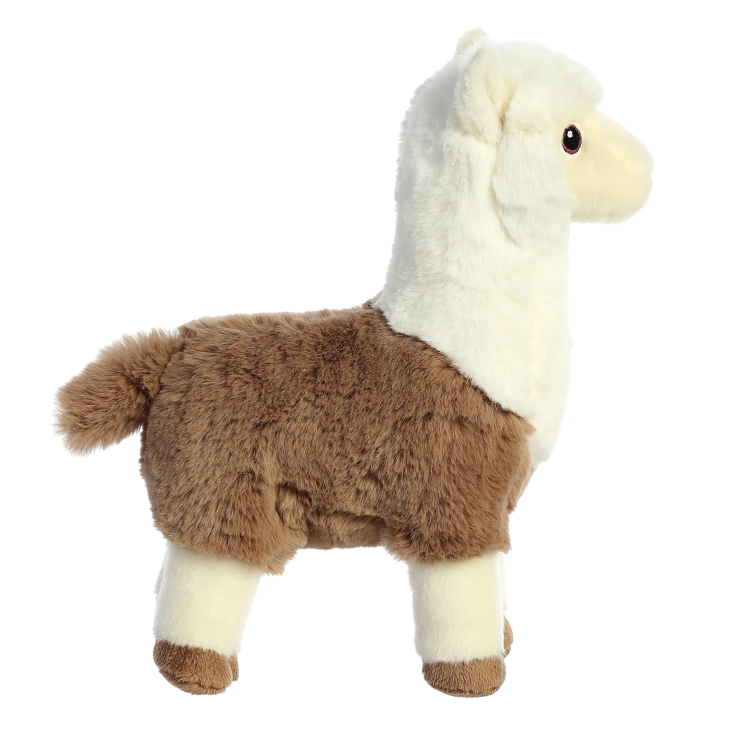 Aurora® - Eco Nation™ - 11 Two -Tone Alpaca、mySite、g9winljtr