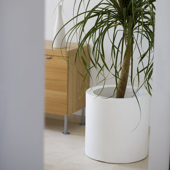  Cilindro Alto Planter、mySite、sugarbowlscore