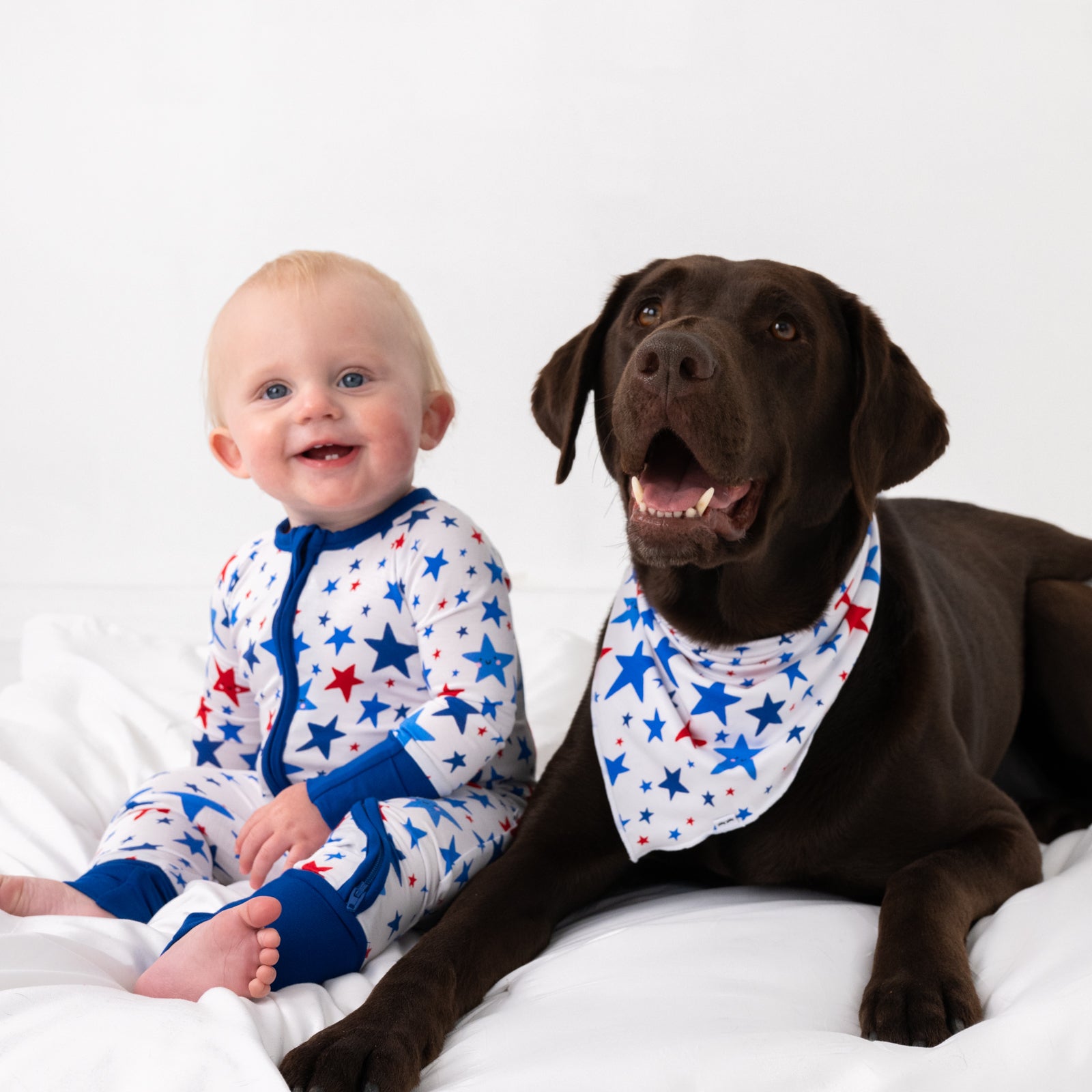  Bright Stars Pet Bandana、mySite、layawaytickets