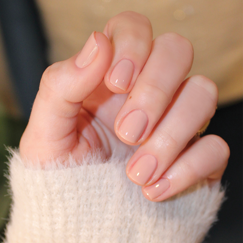 CHM、mySite、solidvoid